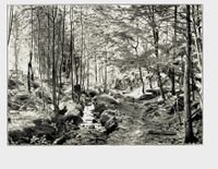 171. No-nb digibok 2011050904030 0037 2.jpg