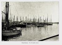 252. No-nb digibok 2011050904030 0050 1.jpg