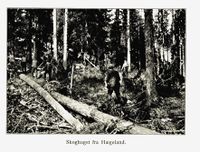 290. No-nb digibok 2011050904030 0065 1.jpg