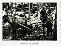 223. No-nb digibok 2011050904030 0066 1.jpg