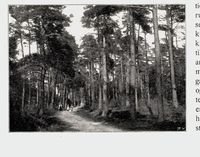 278. No-nb digibok 2011050904030 0134 2.jpg