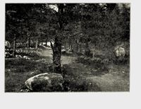 177. No-nb digibok 2011050904030 0171 2.jpg