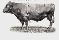 67. No-nb digibok 2011050904030 0174 2.jpg