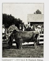 244. No-nb digibok 2011050904030 0175 1.jpg