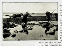 262. No-nb digibok 2011050904030 0182 1.jpg