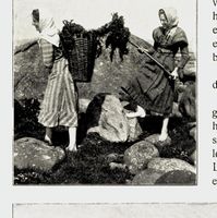 263. No-nb digibok 2011050904030 0182 2.jpg