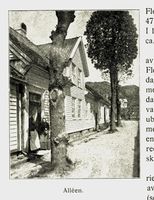 260. No-nb digibok 2011050904030 0192 1.jpg