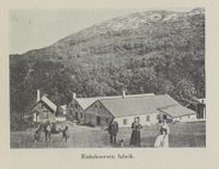 223. No-nb digibok 2011052320010 0365 1.jpg