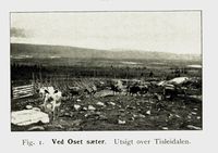 54. No-nb digibok 2011053104023 0010 1.jpg