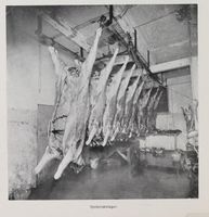 87. No-nb digibok 2011071320001 0132 2.jpg