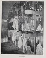 112. No-nb digibok 2011071320001 0133 1.jpg