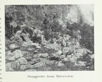 181. No-nb digibok 2011102408031 0043 1.jpg