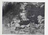 279. No-nb digibok 2011102408031 0517 1.jpg