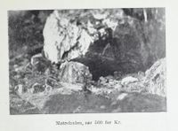 282. No-nb digibok 2011102408031 0523 1.jpg