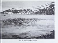 Rein på svøm over Kvalsundet. Det Norske næringsliv. 13 : Finnmark fylkesleksikon, 1952.