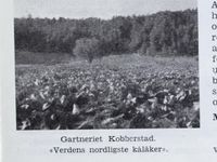 61. No-nb digibok 2011112308053 0483 2.jpg