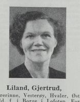 352. No-nb digibok 2011112308149 0119 4.jpg