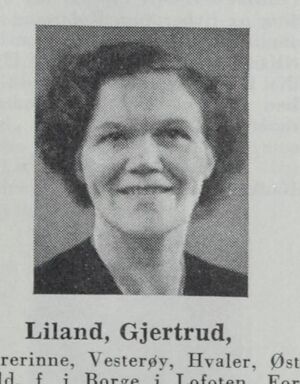 No-nb digibok 2011112308149 0119 4.jpg