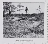 32. No-nb digibok 2011112824010 0012 1.jpg