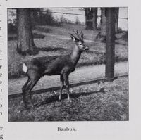 14. No-nb digibok 2011112824010 0015 1.jpg