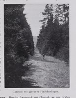 23. No-nb digibok 2011112824010 0019 1.jpg