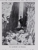 31. No-nb digibok 2011112824010 0021 1.jpg