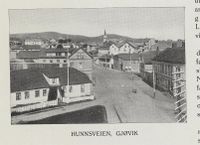 Den nedre delen av Hunnsvegen. Fra boka Fra Gjøvik og omliggende distrikters næringsliv 1914, utgitt 1914.