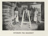 1. No-nb digibok 2011120512001 0045 2.jpg