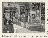 203. No-nb digibok 2011120512001 0047 1.jpg