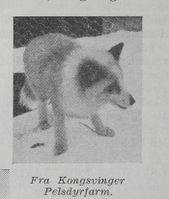 123. No-nb digibok 2012010308084 0396 2.jpg