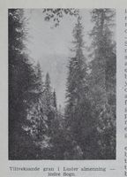 107. No-nb digibok 2012011808016 0110 1.jpg