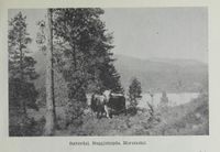 58. No-nb digibok 2012011808016 0319 1.jpg