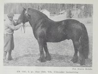 136. No-nb digibok 2012012708054 0076 1.jpg