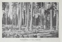 169. No-nb digibok 2012012708054 0086 1.jpg