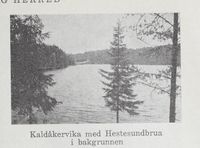 196. No-nb digibok 2012012708054 0319 1.jpg