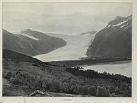 238. No-nb digibok 2012022413009 0005 1.jpg