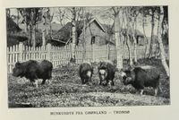 383. No-nb digibok 2012022413009 0011 2.jpg