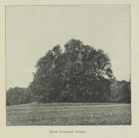 164. No-nb digibok 2012031324059 0127 1.jpg