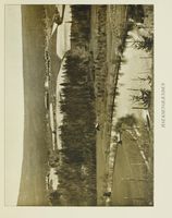 133. No-nb digibok 2012052224005 0037 1.jpg