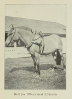 112. No-nb digibok 2012052224005 0171 1.jpg