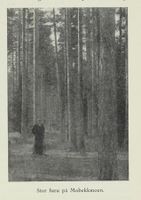 130. No-nb digibok 2012052224011 0055 1.jpg