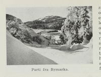 24. No-nb digibok 2012060724015 0228 1.jpg