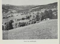 21. No-nb digibok 2012060724015 0250 1.jpg