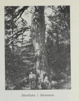 14. No-nb digibok 2012060724015 0303 1.jpg