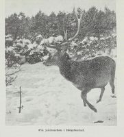 21. No-nb digibok 2012060724015 0321 1.jpg