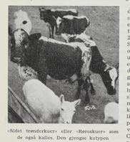 115. No-nb digibok 2012060724015 0442 1.jpg