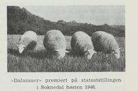 116. No-nb digibok 2012060724015 0443 1.jpg