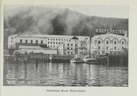 262. No-nb digibok 2012060724015 0737 1.jpg