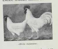 59. No-nb digibok 2012060724015 0809 2.jpg