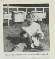 114. No-nb digibok 2012060724015 0825 3.jpg